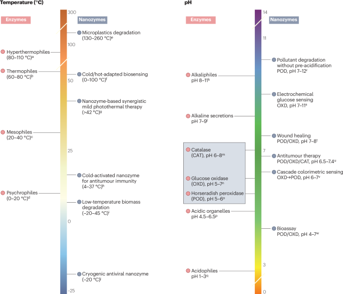 Can nanozymes achieve more than enzymes? | Nature Reviews Materials
