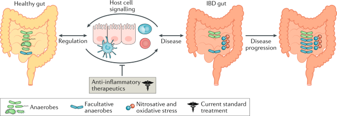 Microbial genes and pathways in inflammatory bowel disease