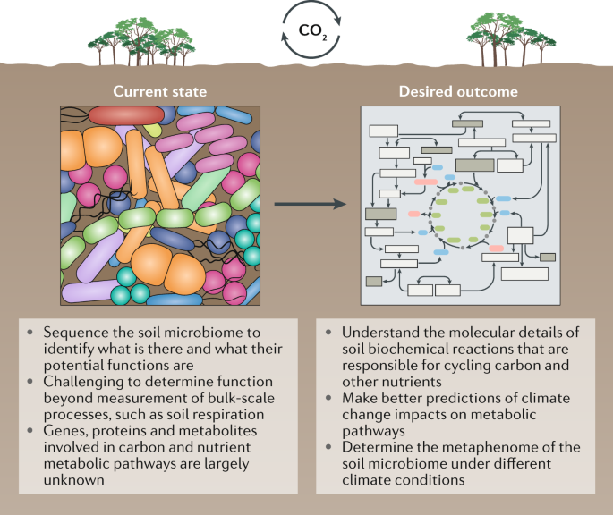 Soil Microbiomes And Climate Change Nature Reviews Microbiology