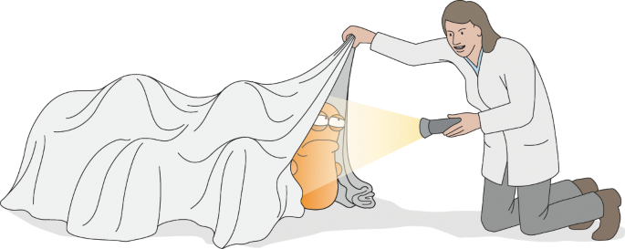 Light sheets unveil host–microorganism interactions