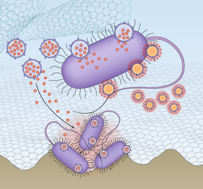 Nanomaterials Arising Amid Antibiotic Resistance Nature Reviews Microbiology Nanomaterials Arising Amid Antibiotic Resistance Nature Reviews Microbiology