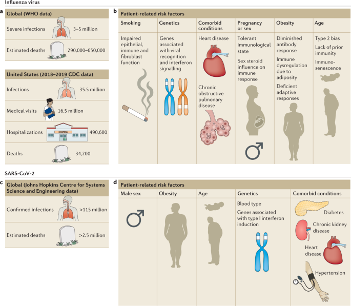 Influenza virus and SARS-CoV-2: pathogenesis and host responses in the  respiratory tract | Nature Reviews Microbiology