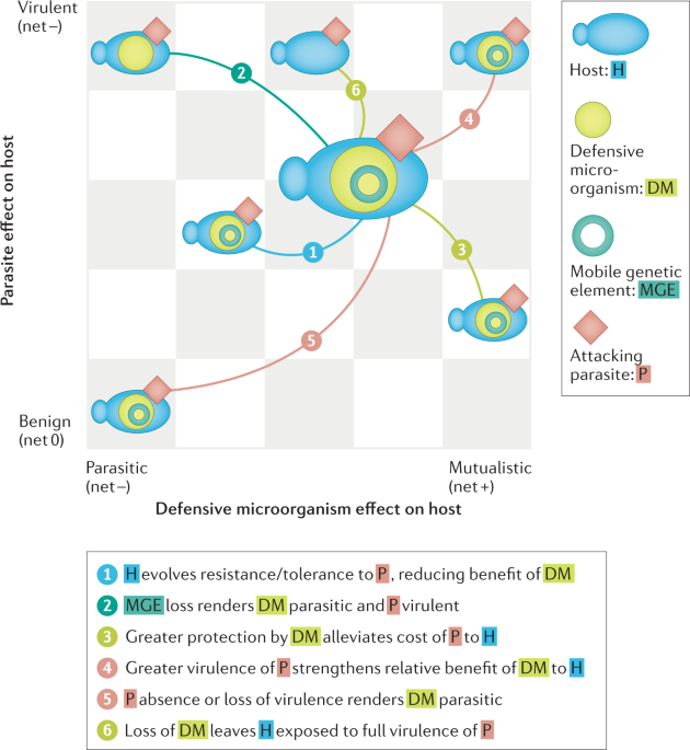 Parasitological transitions: selected outcomes from the XXXII