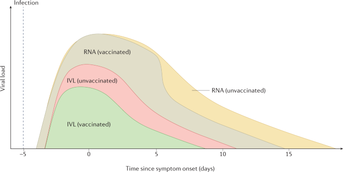 SARS-CoV-2 viral load is associated with increased disease severity and  mortality