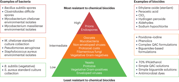 Disinfectants and antiseptics: mechanisms of action and resistance