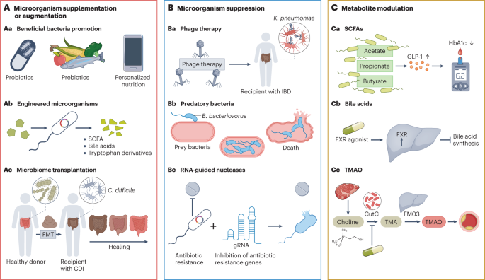 Harnessing the Microbiome for Disease Prevention and Therapy