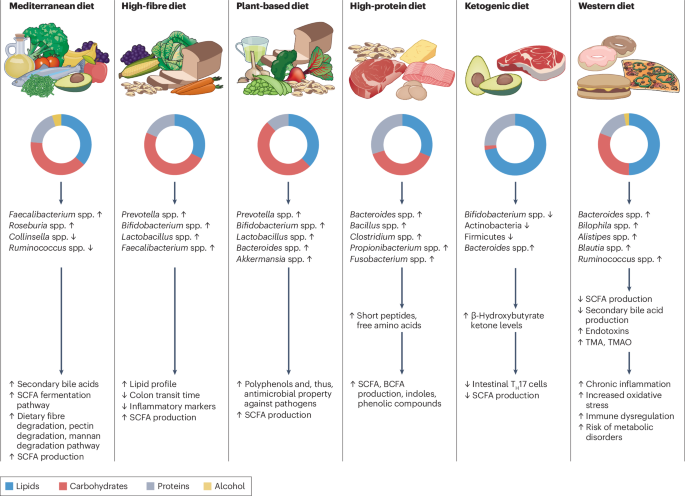 The interplay between diet and the gut microbiome: implications for health and disease | Nature Reviews Microbiology the-interplay-between-diet-and-the-gut-microbiome-implications-for-health-and-disease-nature-reviews-microbiology
