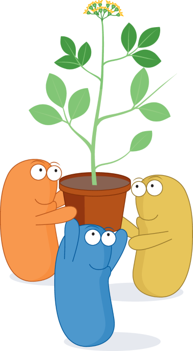 Echoes in the earth: how microbiomes help plants remember and resist - Nature Reviews Microbiology