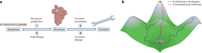 Opportunities and challenges in design and optimization of protein 