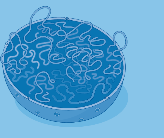 DNA looping regulates transcription | Nature Reviews Molecular Cell Biology