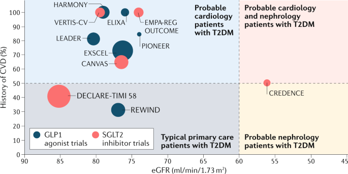 sglt2 inhibitor vs glp 1 Renal outcomes of SGLT2 inhibitors and GLP1 agonists in clinical practice