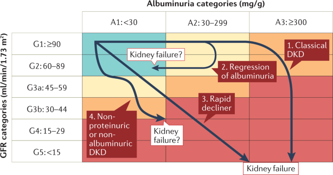 diabetic nephropathy treatment uptodate kezelése kiindulási cukorbetegség