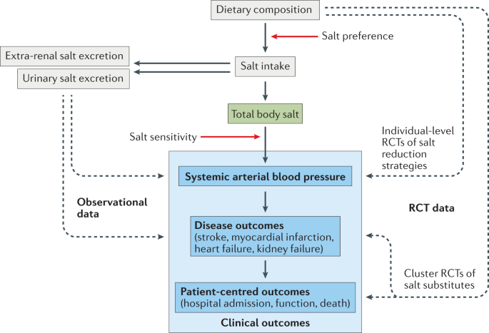 The impact of excessive salt intake on human health | Nature Reviews  Nephrology