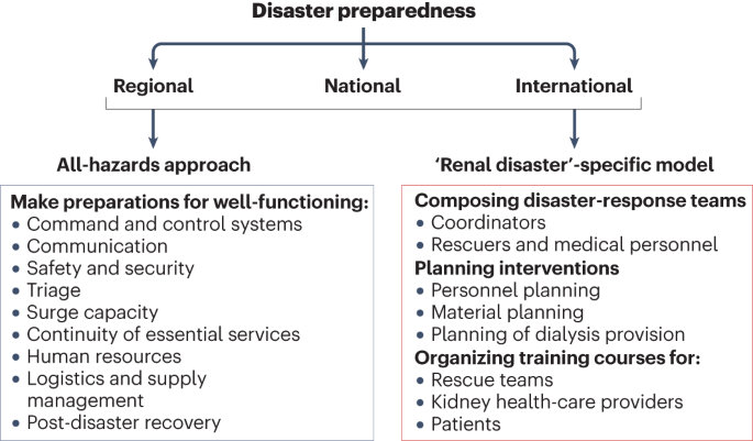 Disasters and kidney care: pitfalls and solutions