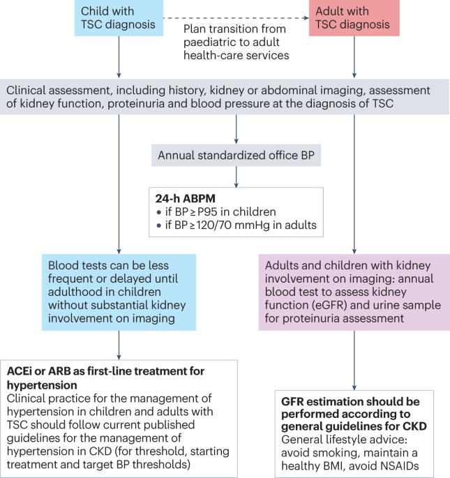 Clinical practice recommendations for kidney involvement in 