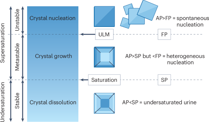 Kidney stone disease: risk factors, pathophysiology and management