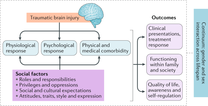 The Concussion Gender Gap: Why Girls Suffer More Head Injuries