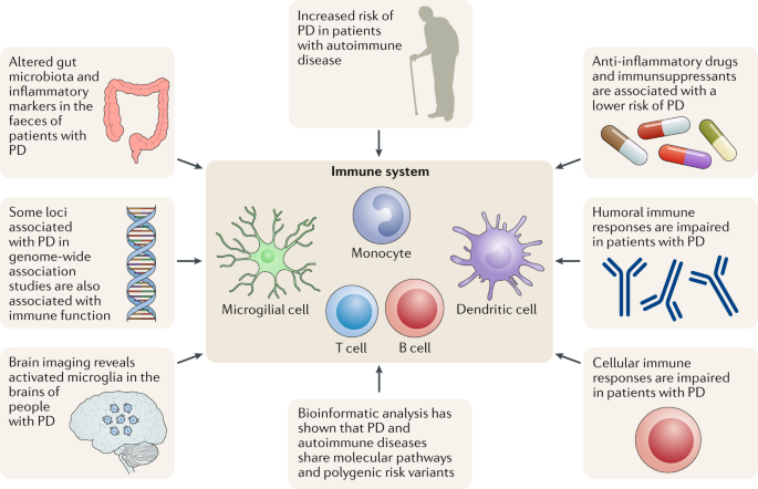 Full article: Interactions of Autophagy and the Immune System in Health and Diseases