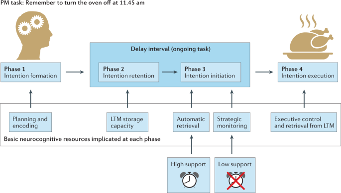 Prospective Memory Impairment In Neurological Disorders Implications And Management Nature Reviews Neurology