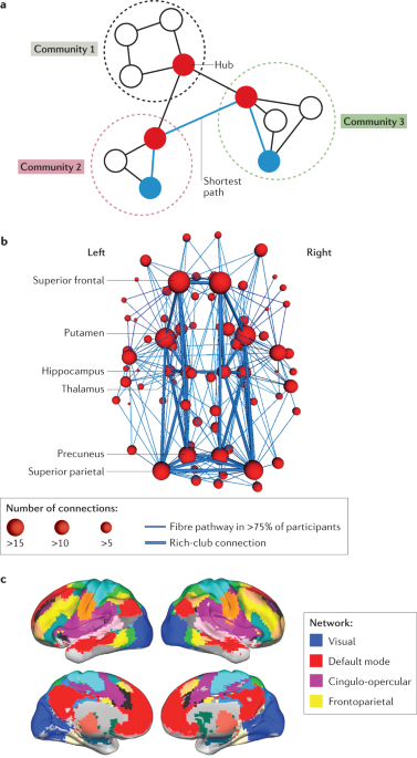 The Human Connectome In Alzheimer Disease Relationship To Biomarkers And Genetics Nature Reviews Neurology