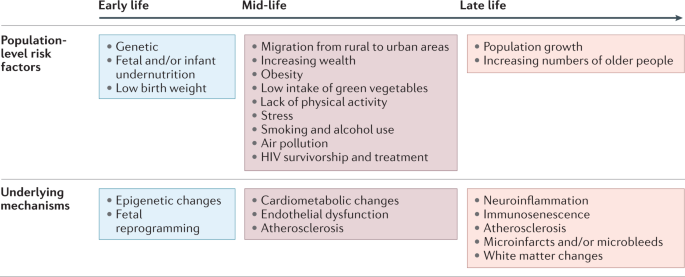 Pragmatic solutions to reduce the global burden of stroke: a World