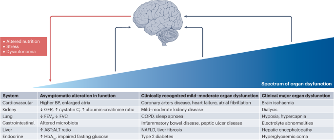 Systemic determinants of brain health in ageing - Nature Reviews Neurology