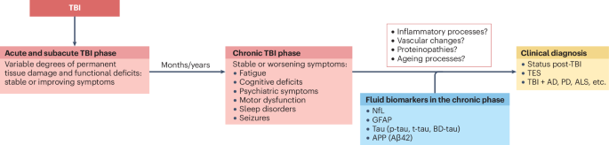 Fluid biomarkers of chronic traumatic brain injury - Nature Reviews Neurology