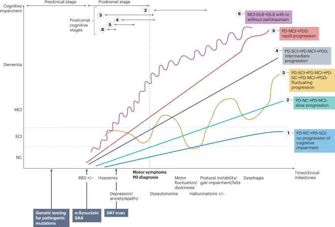 Characteristics and mechanisms of cognitive impairment in Parkinson ...
