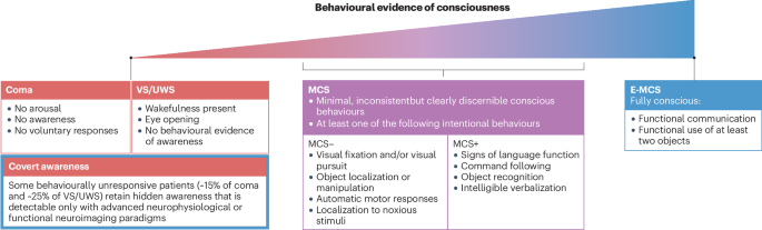 Artificial intelligence could reshape research and care in disorders of consciousness