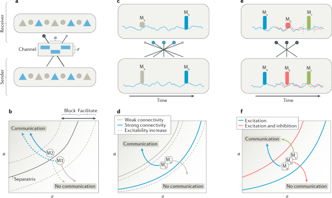 portraits of communication in neuronal networks nature reviews neural communication