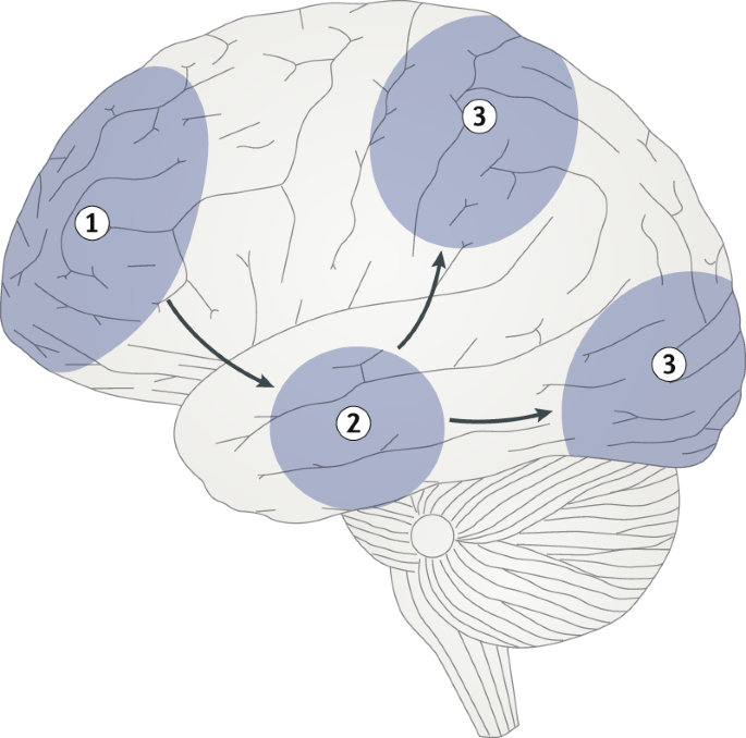 Truth Behind Optical Illusion That Claims To Reveal How Stressed You Are