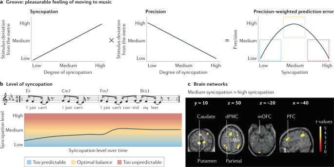 Music in the brain  Nature Reviews Neuroscience