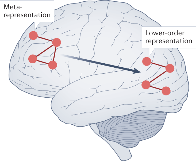 what is the relationship between consciousness and the brain