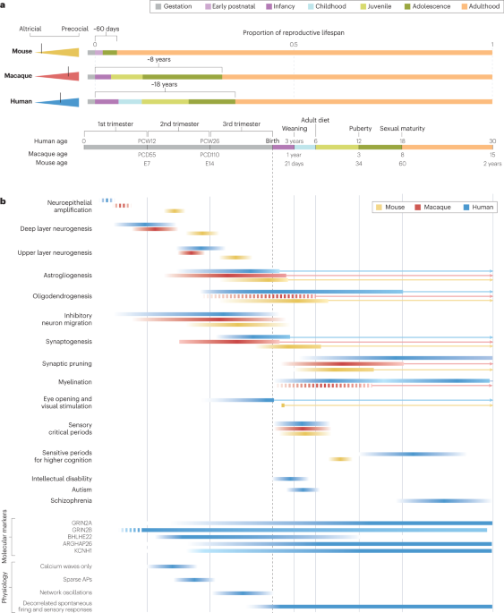 28+ New York State Physics Reference Table