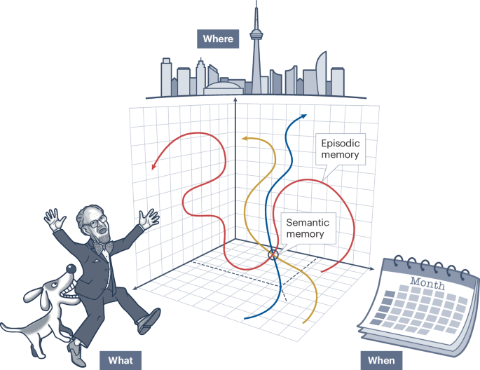 Time, space, memory and brain–body rhythms