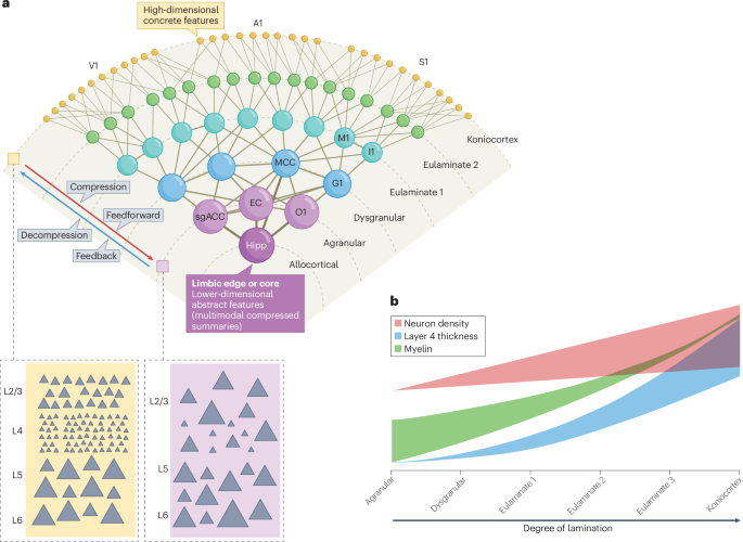 media.springernature.com image
