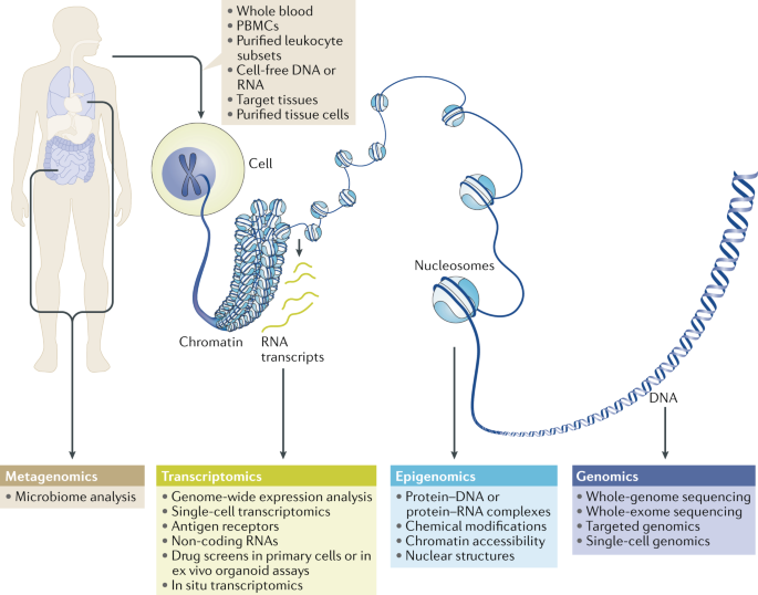 Insights into rheumatic diseases from next-generation sequencing
