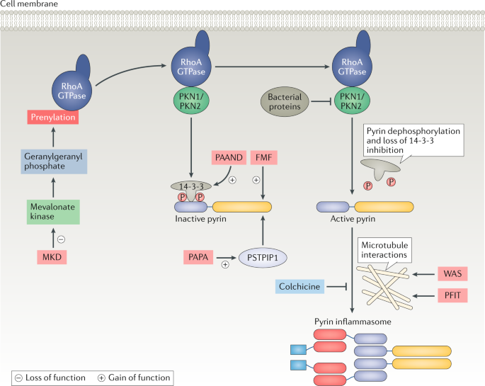 Moving Towards A Systems Based Classification Of Innate Immune Mediated Diseases Nature Reviews Rheumatology