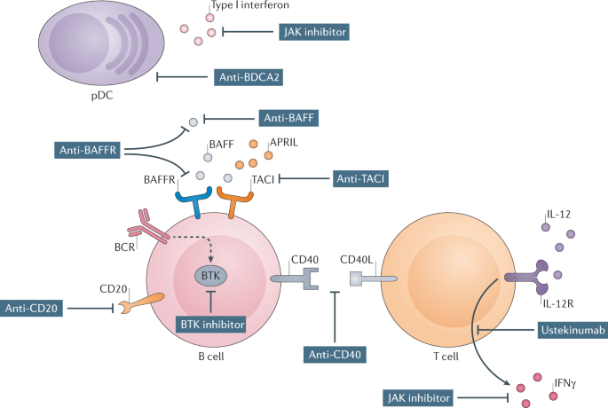 semaglutide and sjogren's Current and future therapies for primary Sjögren syndrome