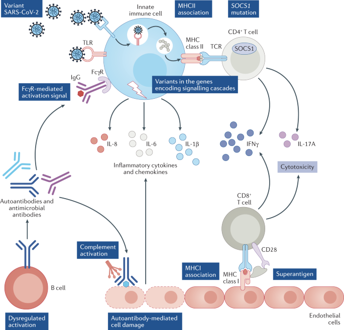 Acute Heart Failure in Multisystem Inflammatory Syndrome in