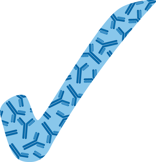 Bimekizumab safe and effective for AS and PsA in long-term trials