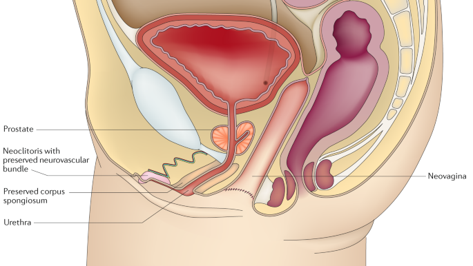 Supporting Sexuality And Improving Sexual Function In - 