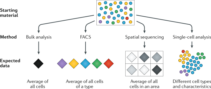 prostate cancer cell types prostatitis első szakasz