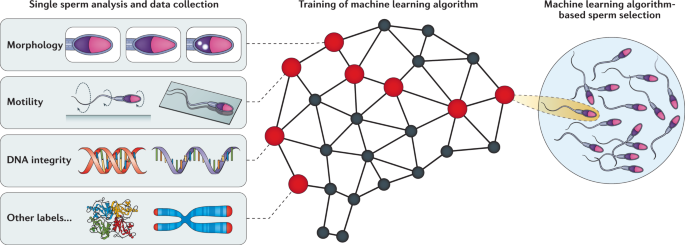 MACHINE LEARNING by MITCHELL - 2013