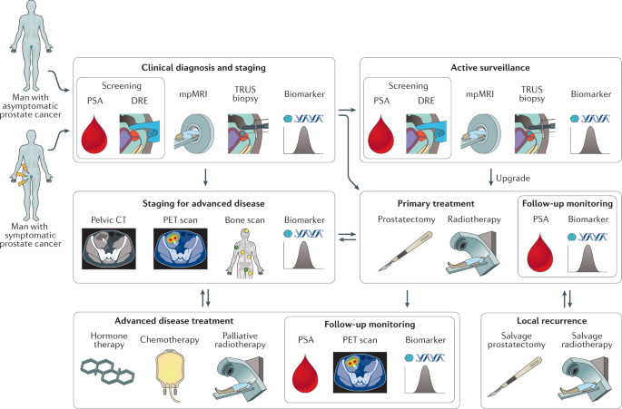 Proteomic Discovery Of Non Invasive Biomarkers Of Localized Prostate Cancer Using Mass Spectrometry Nature Reviews Urology
