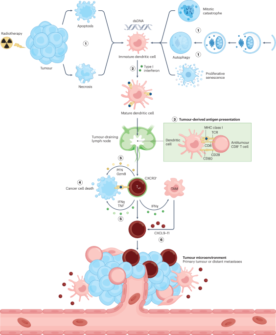 can i take retatrutide and semaglutide together is retatrutide the same as tirzepatide tirzepatide vs. ozempic tirzepatide  versus ozempic Tirzepatide vs Semaglutide: What's the Difference?