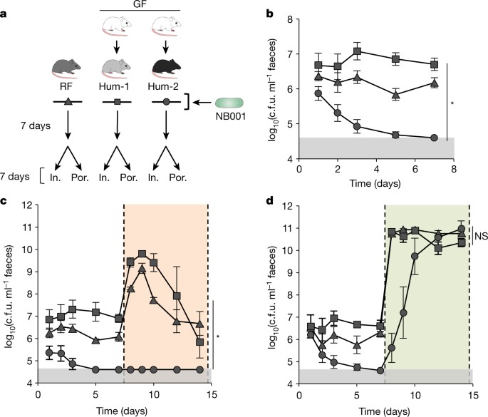 Niche availability varies by microbiota and can be modulated by addition of a privileged nutrient.