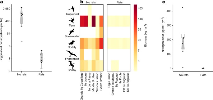 Seabirds Enhance Coral Reef Productivity And Functioning In The Absence Of Invasive Rats Nature Seabirds Enhance Coral Reef Productivity And Functioning In The Absence Of Invasive Rats Nature