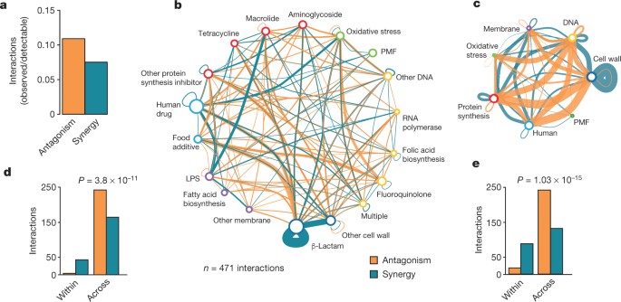 Species-specific activity of antibacterial drug combinations | Nature