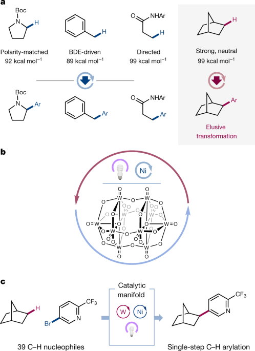 Direct Arylation Of Strong Aliphatic C H Bonds Nature Direct Arylation Of Strong Aliphatic C H Bonds Nature